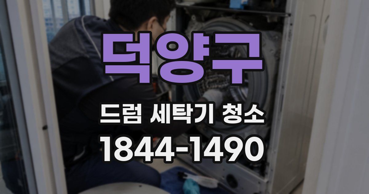 덕양구 드럼 세탁기 청소
