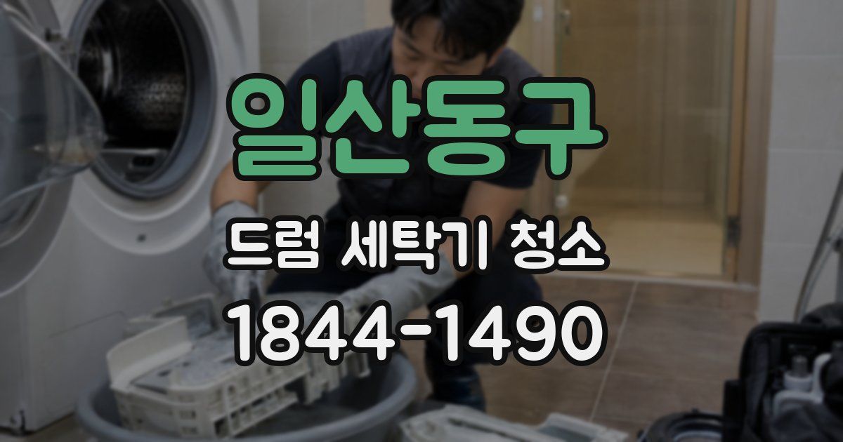 일산동구 드럼 세탁기 청소