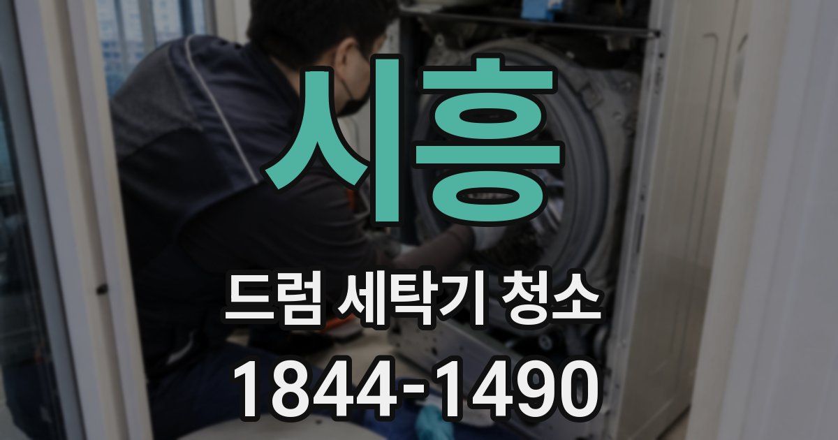 시흥 드럼 세탁기 청소