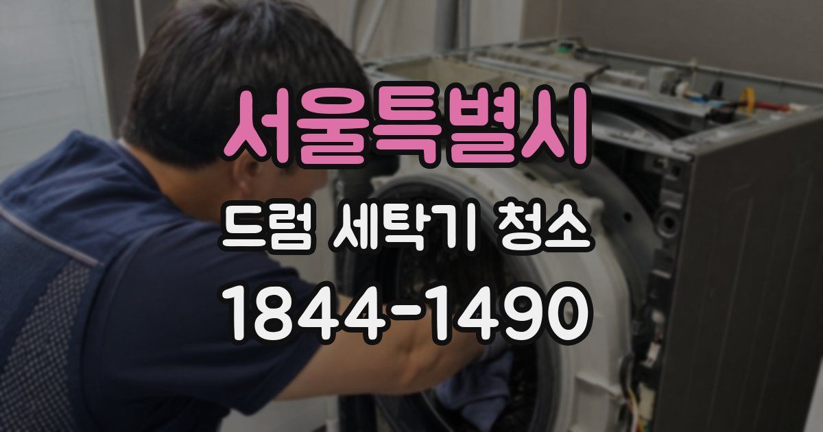 서울특별시 드럼 세탁기 청소