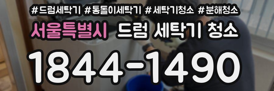 서울특별시 드럼 세탁기 청소