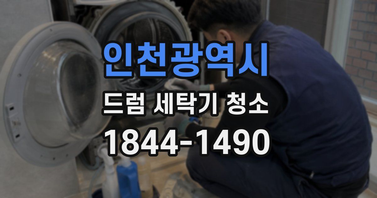 인천광역시 드럼 세탁기 청소