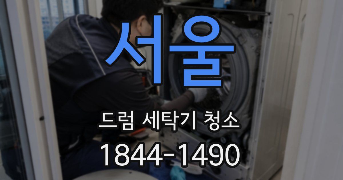 서울 드럼 세탁기 청소