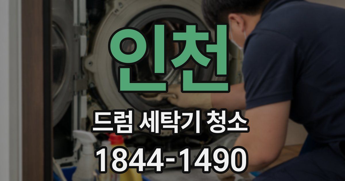 인천 드럼 세탁기 청소