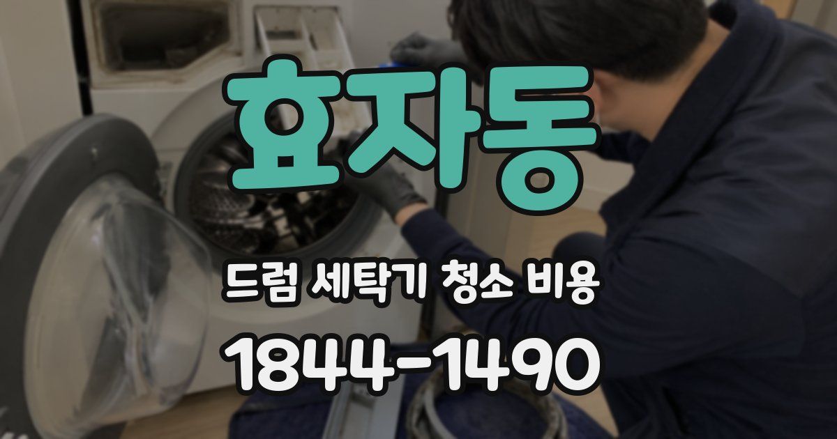 효자동 드럼 세탁기 청소 비용