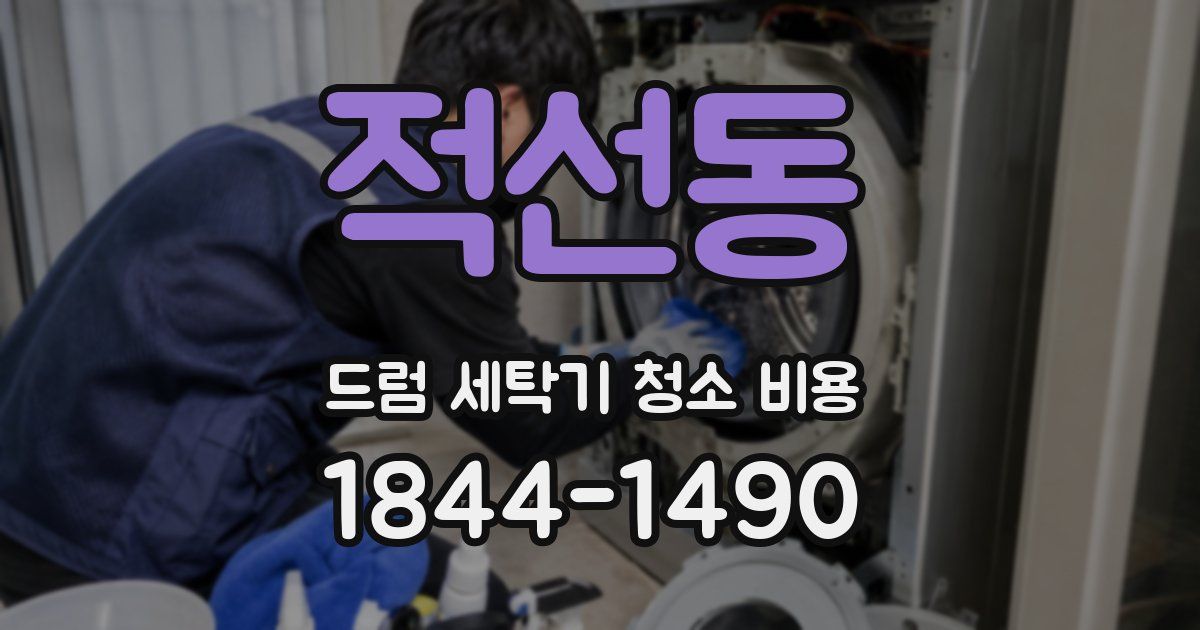 적선동 드럼 세탁기 청소 비용