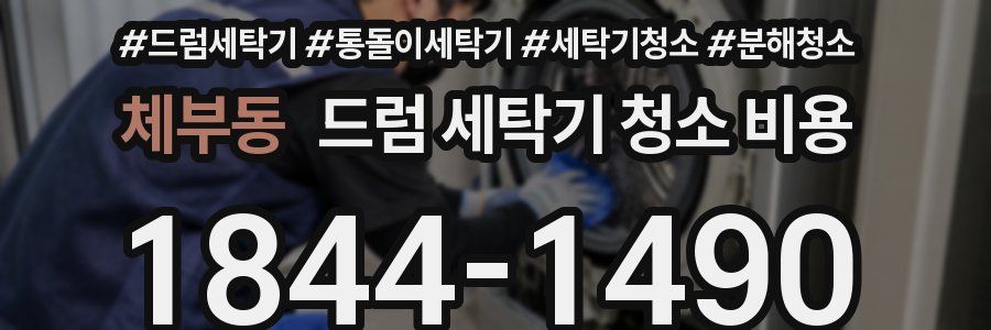 체부동 드럼 세탁기 청소 비용