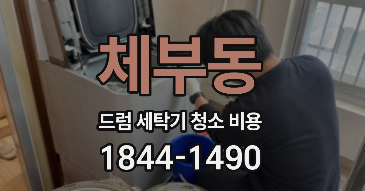 체부동 드럼 세탁기 청소 비용