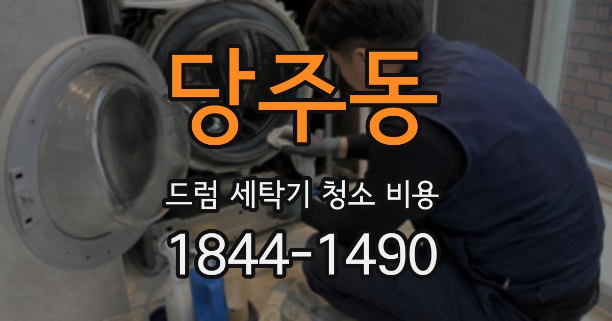 당주동 드럼 세탁기 청소 비용