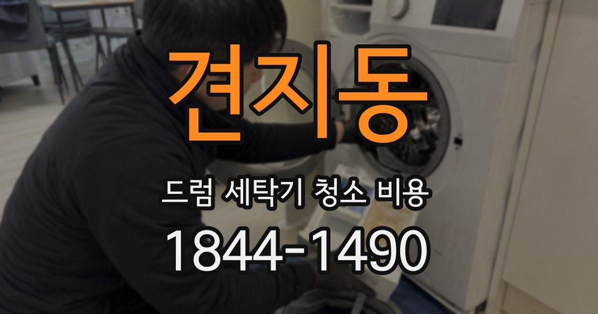 견지동 드럼 세탁기 청소 비용