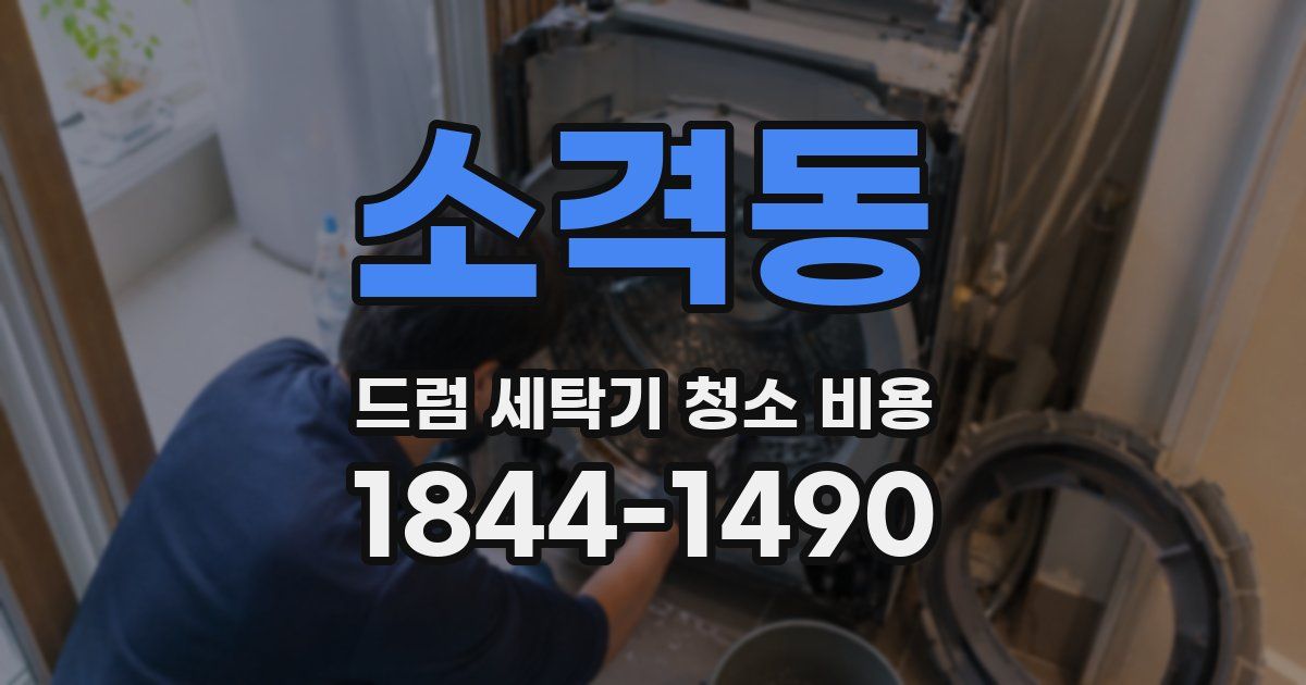 소격동 드럼 세탁기 청소 비용