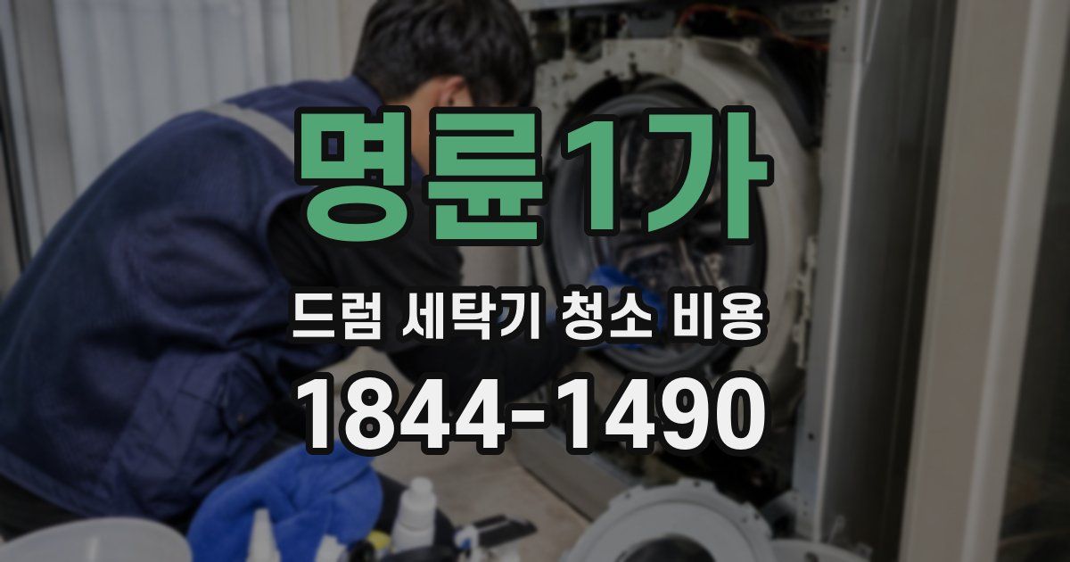 명륜1가 드럼 세탁기 청소 비용