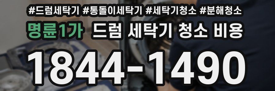 명륜1가 드럼 세탁기 청소 비용