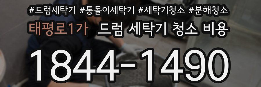 태평로1가 드럼 세탁기 청소 비용