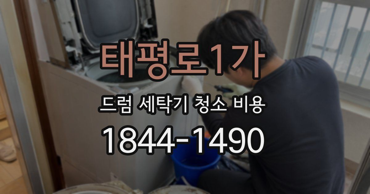 태평로1가 드럼 세탁기 청소 비용