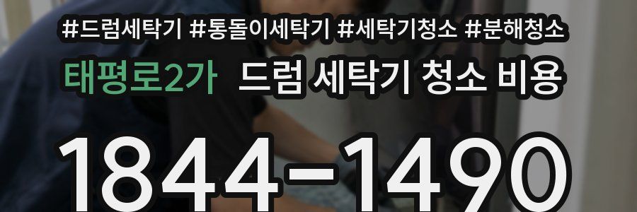 태평로2가 드럼 세탁기 청소 비용