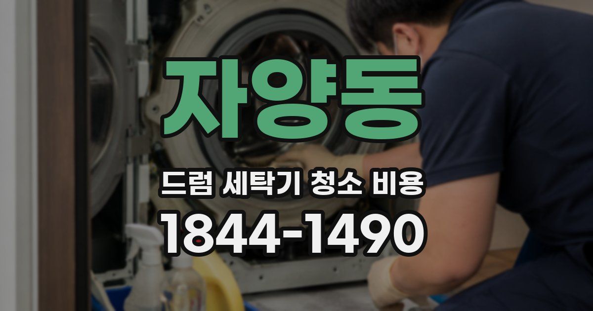 자양동 드럼 세탁기 청소 비용
