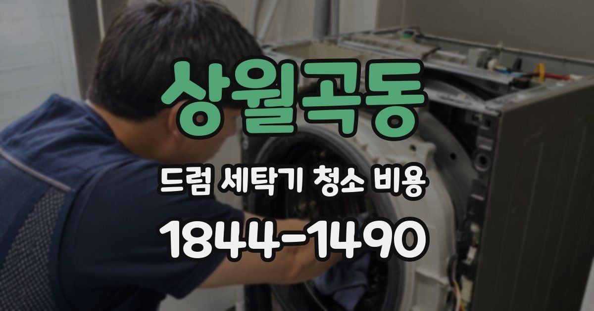 상월곡동 드럼 세탁기 청소 비용
