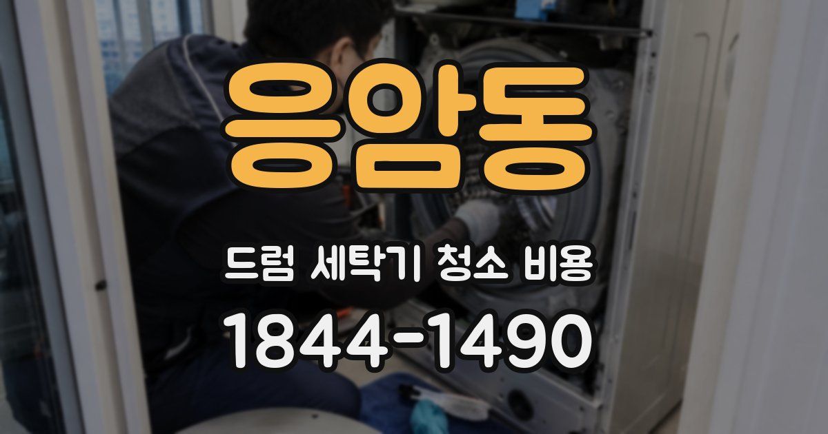 응암동 드럼 세탁기 청소 비용