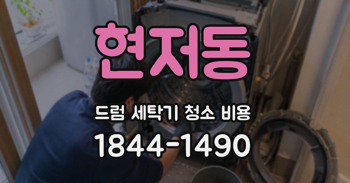 현저동 드럼 세탁기 청소 비용