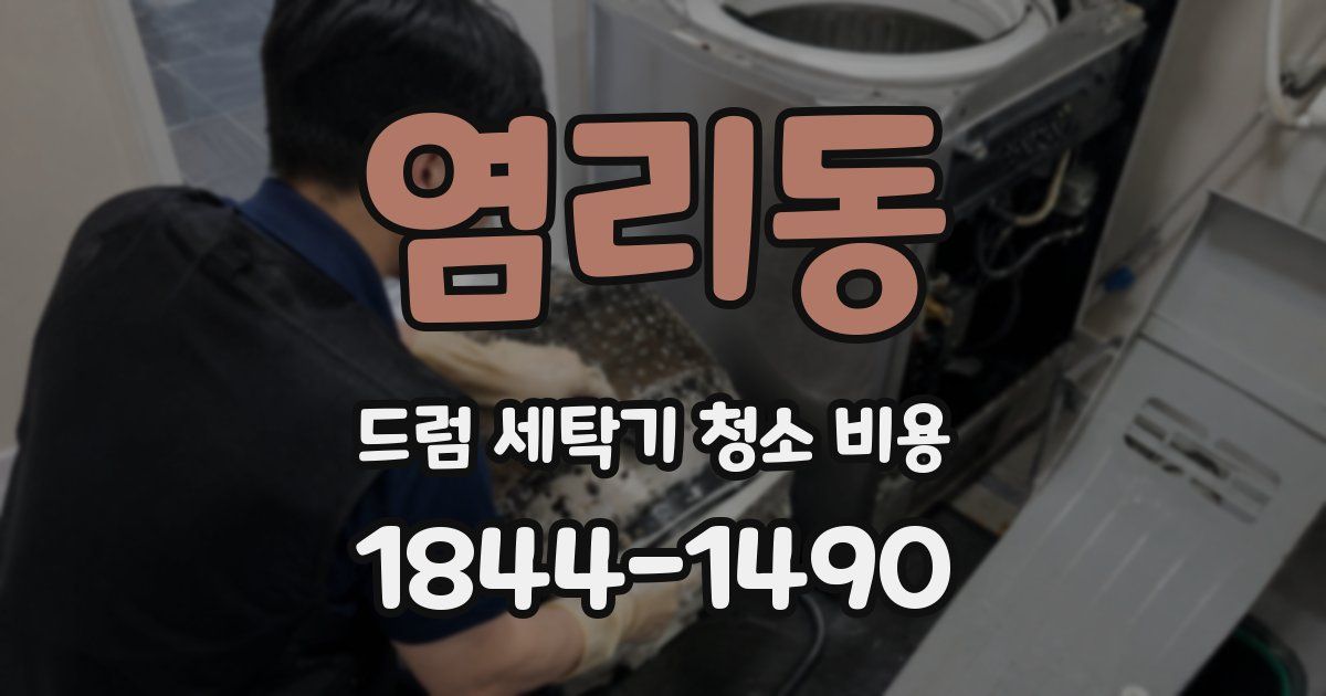 염리동 드럼 세탁기 청소 비용