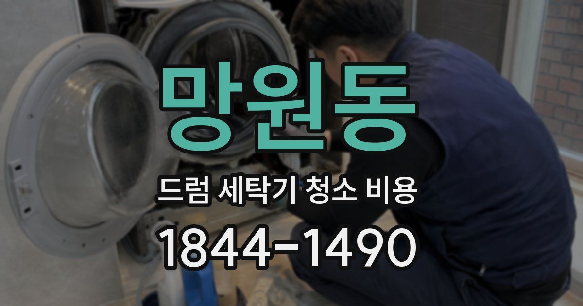 망원동 드럼 세탁기 청소 비용