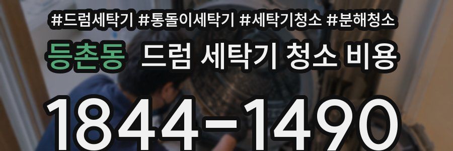 등촌동 드럼 세탁기 청소 비용
