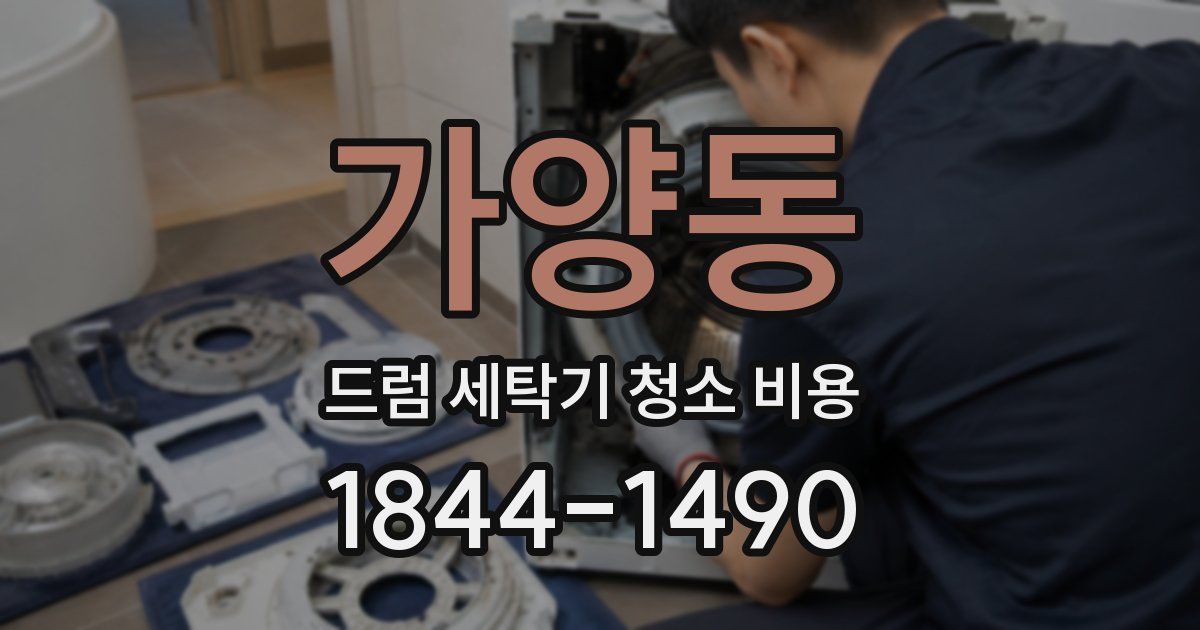 가양동 드럼 세탁기 청소 비용
