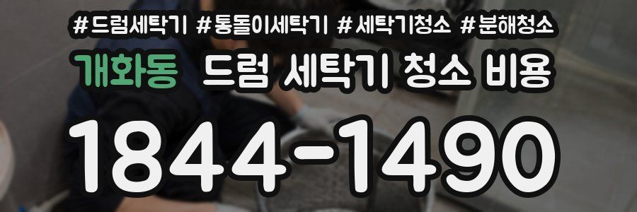 개화동 드럼 세탁기 청소 비용