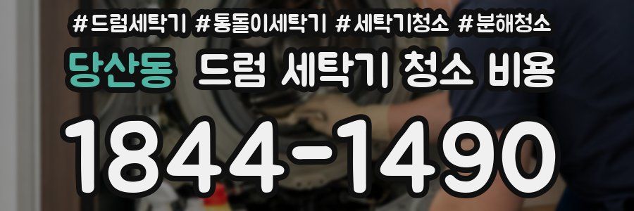 당산동 드럼 세탁기 청소 비용