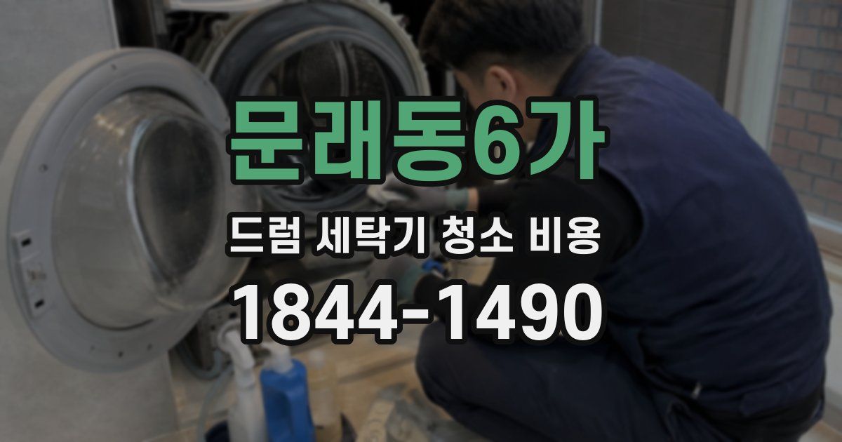 문래동6가 드럼 세탁기 청소 비용