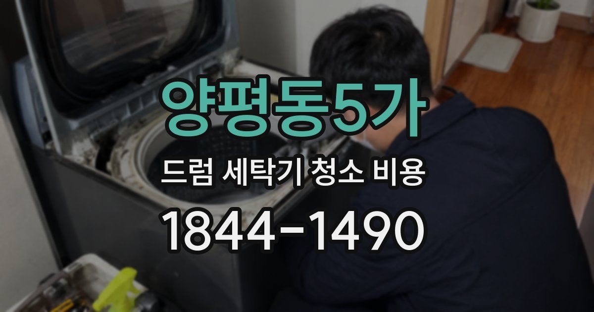 양평동5가 드럼 세탁기 청소 비용