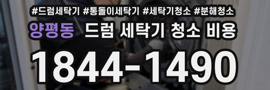 양평동 드럼 세탁기 청소 비용