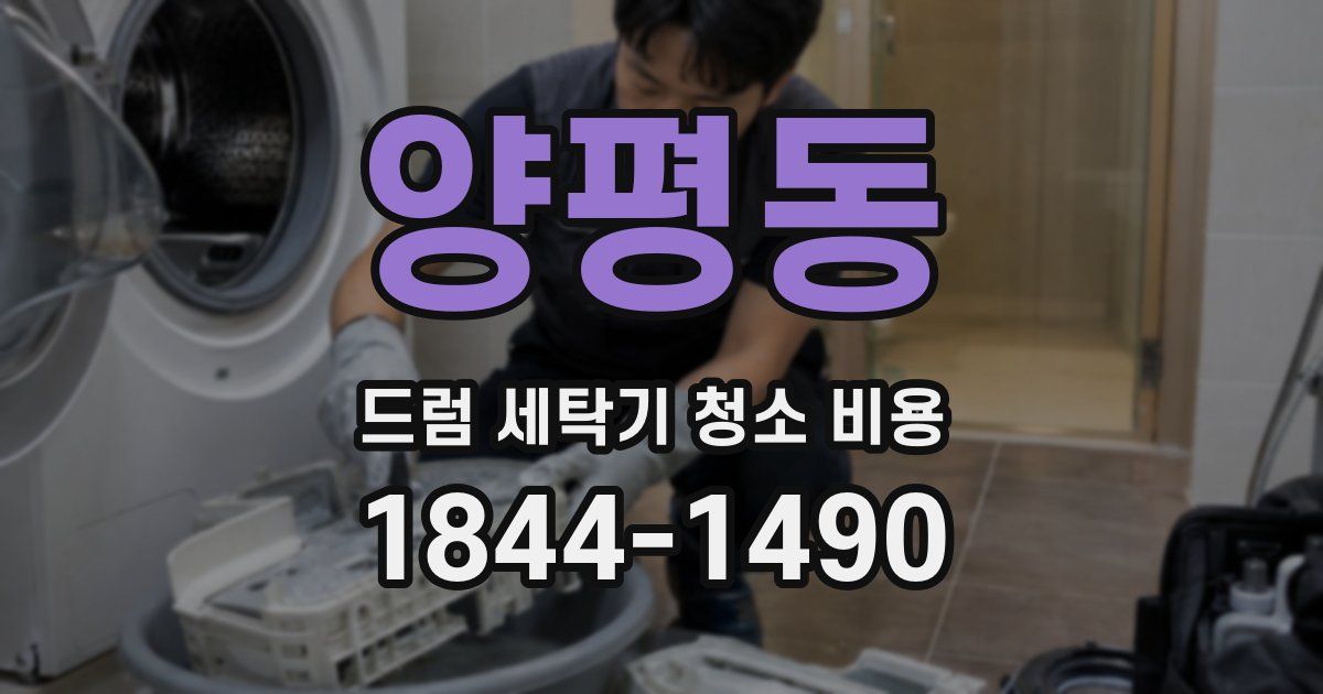 양평동 드럼 세탁기 청소 비용