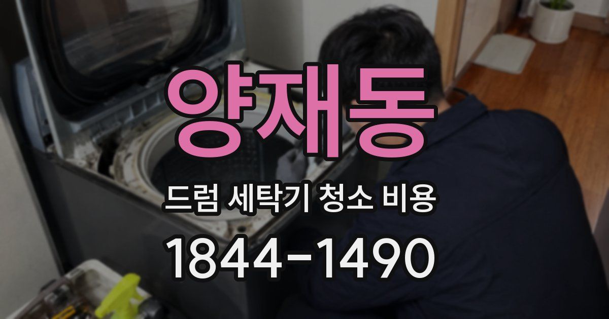 양재동 드럼 세탁기 청소 비용