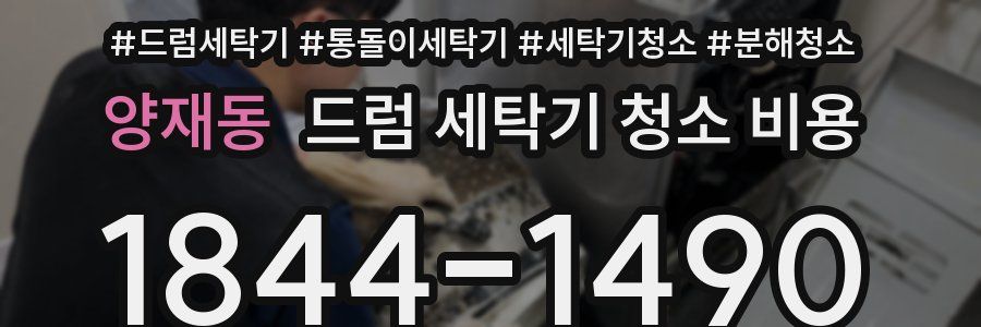 양재동 드럼 세탁기 청소 비용