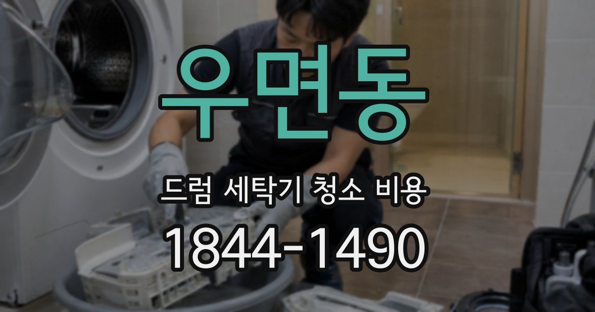 우면동 드럼 세탁기 청소 비용