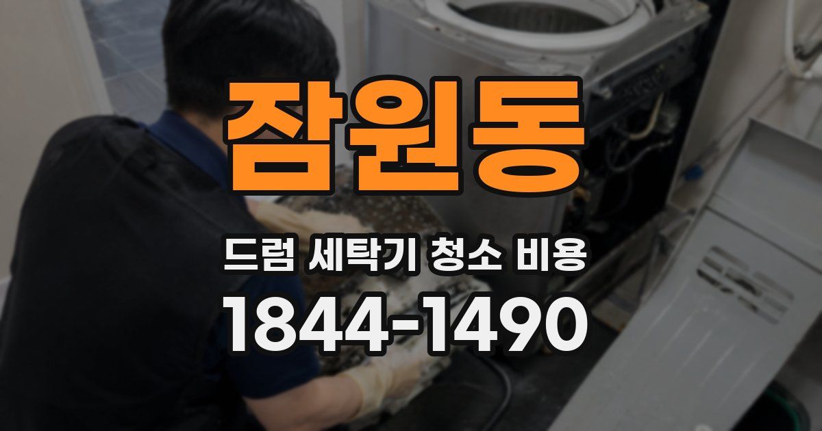 잠원동 드럼 세탁기 청소 비용