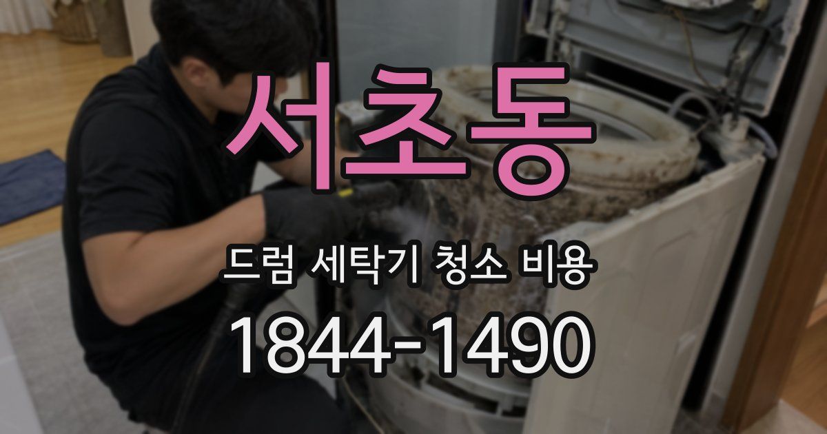 서초동 드럼 세탁기 청소 비용