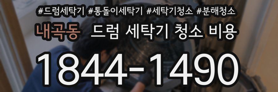 내곡동 드럼 세탁기 청소 비용