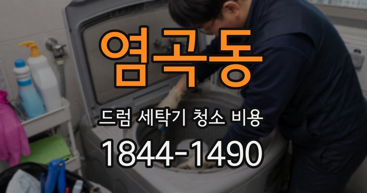 염곡동 드럼 세탁기 청소 비용