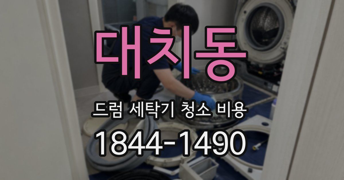 대치동 드럼 세탁기 청소 비용