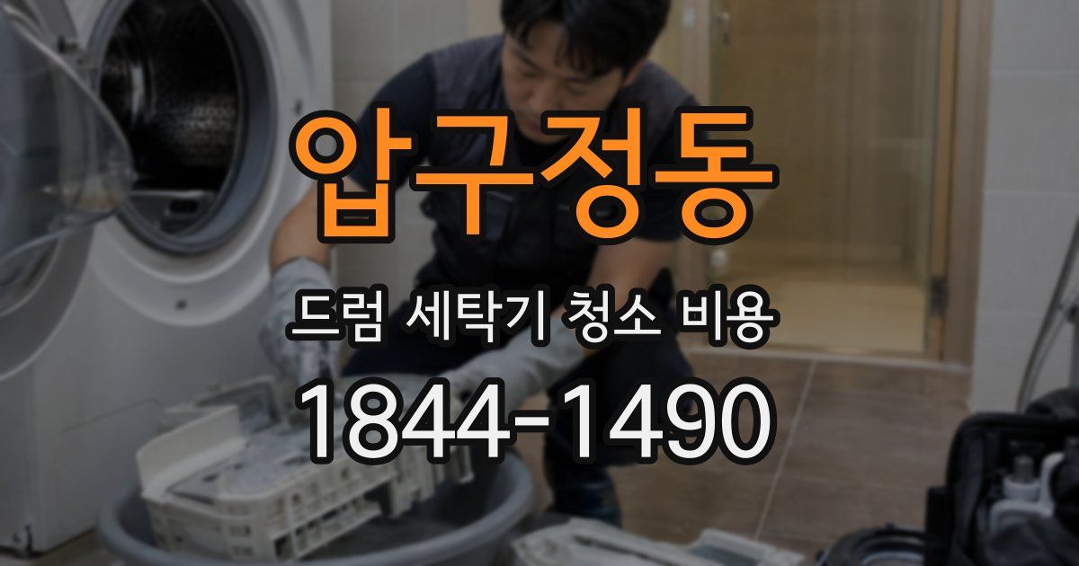압구정동 드럼 세탁기 청소 비용