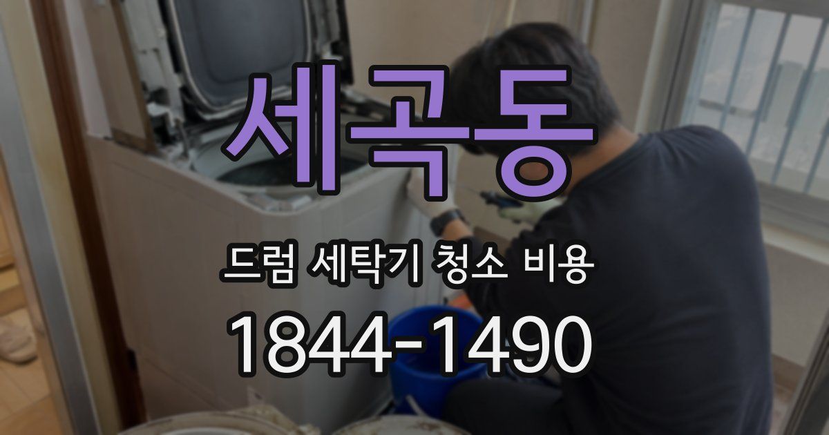 세곡동 드럼 세탁기 청소 비용