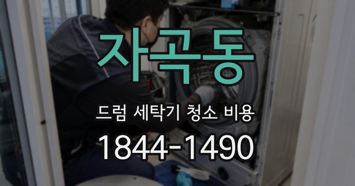 자곡동 드럼 세탁기 청소 비용