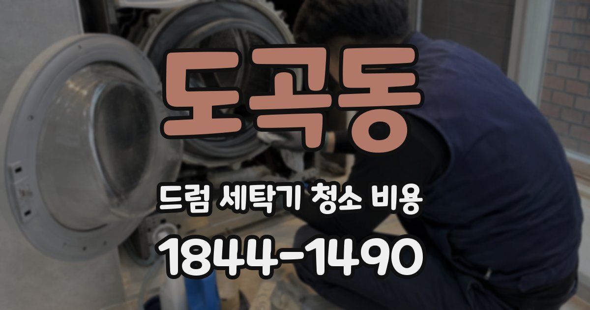도곡동 드럼 세탁기 청소 비용