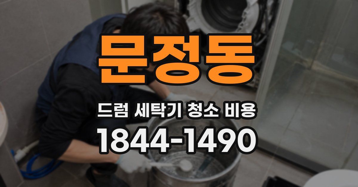 문정동 드럼 세탁기 청소 비용