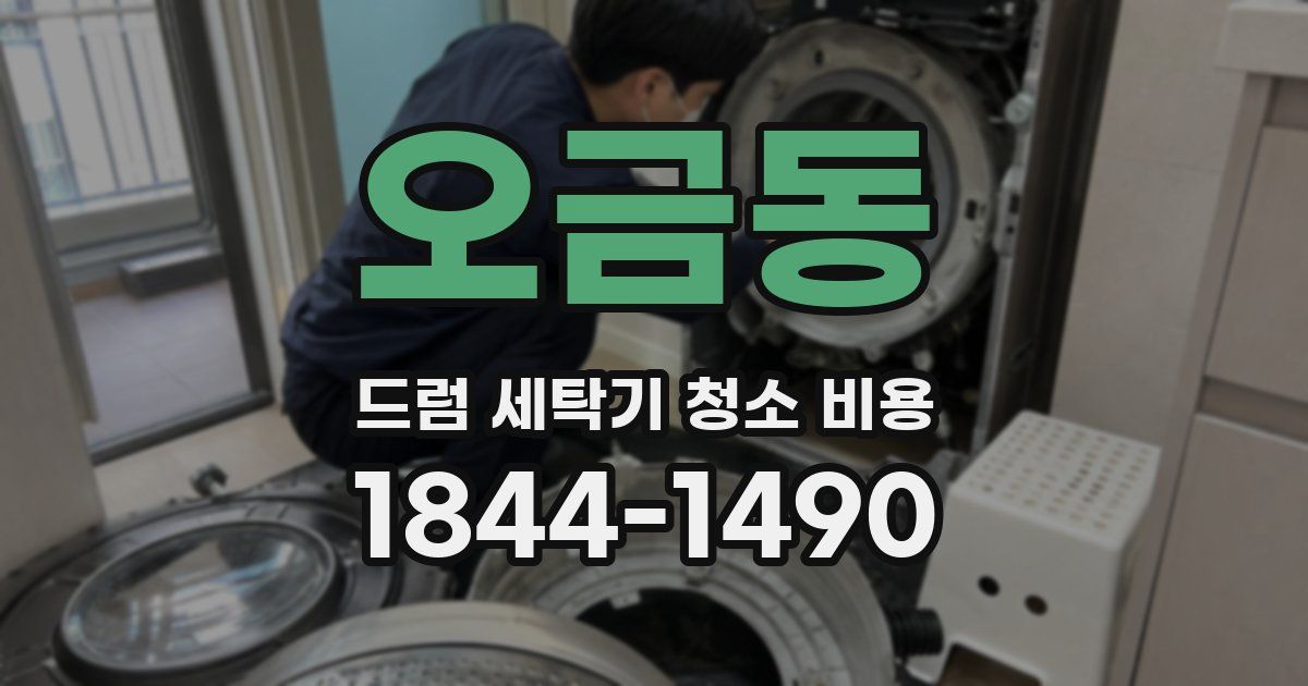오금동 드럼 세탁기 청소 비용