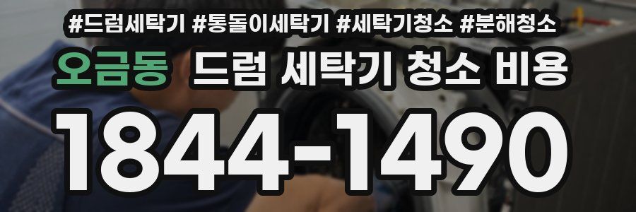 오금동 드럼 세탁기 청소 비용