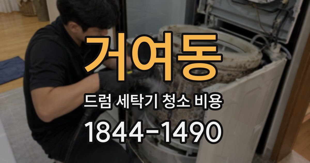 거여동 드럼 세탁기 청소 비용